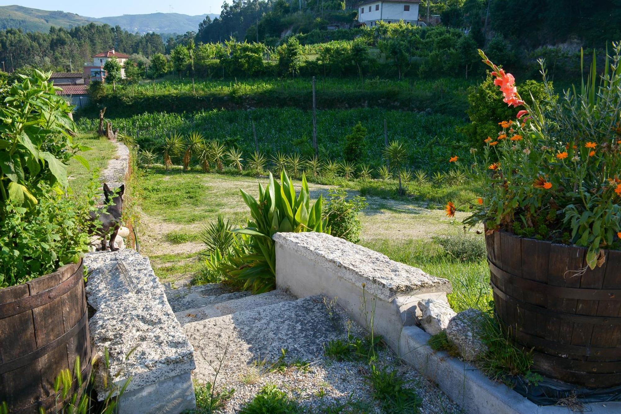 Quinta Do Bairro Vila Vieira do Minho Exterior foto